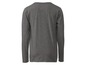 Šedé pánské tričko s dlouhým rukávem.