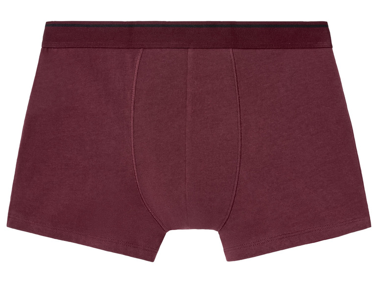  Zobrazit na celou obrazovku LIVERGY® Pánské boxerky BIO, 3 kusy - Obrázek 5