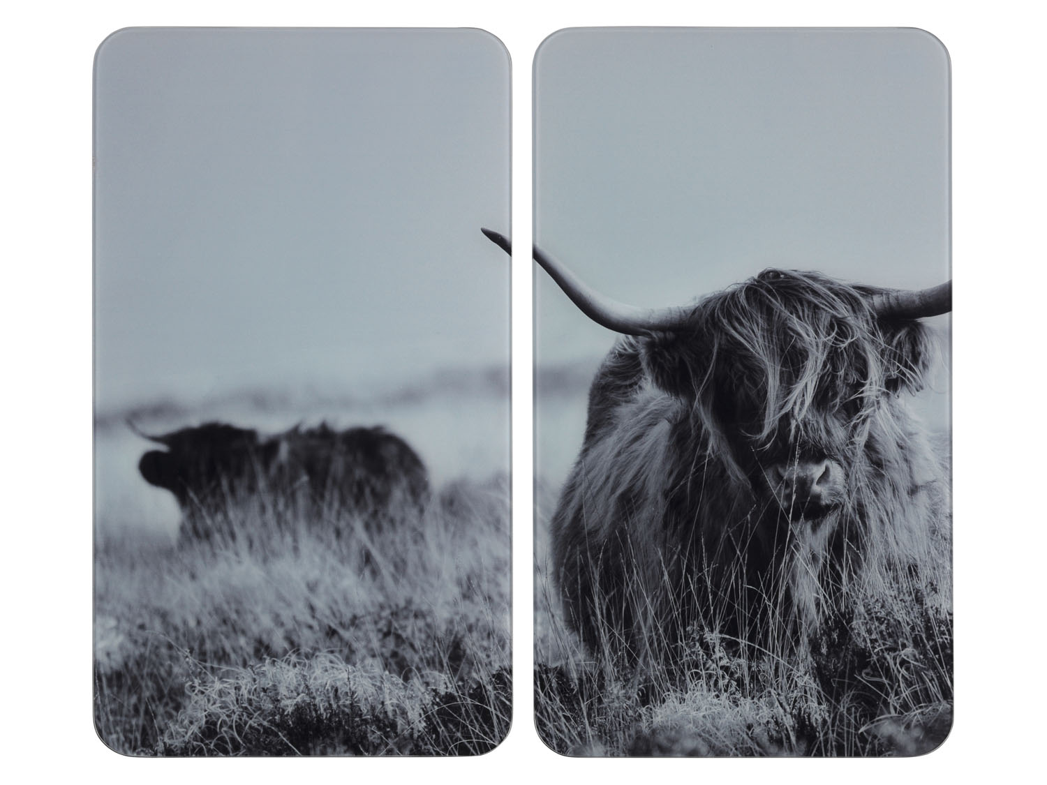 Wenko Univerzální deska na sporák, 2dílná (Highland Cattle)
