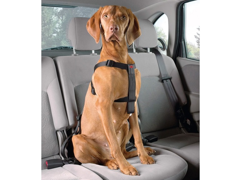  Zobrazit na celou obrazovku europet bernina Bezpečnostní postroj pro psa do auta - Obrázek 2