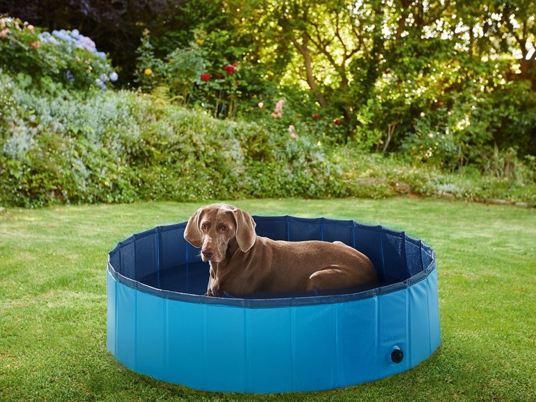  Zobrazit na celou obrazovku zoofari® Bazén pro psy, 120 x 30 cm - Obrázek 5