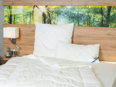 BeCo Polštář Proneem