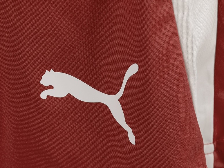  Zobrazit na celou obrazovku Puma Pánské funkční kraťasy Liga - Obrázek 4