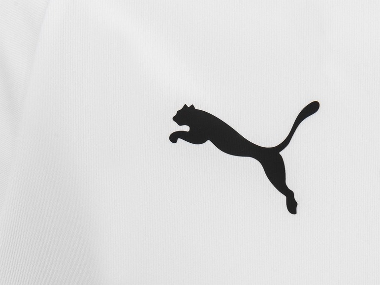  Zobrazit na celou obrazovku Puma Pánské funkční triko Liga Jersey Core - Obrázek 3