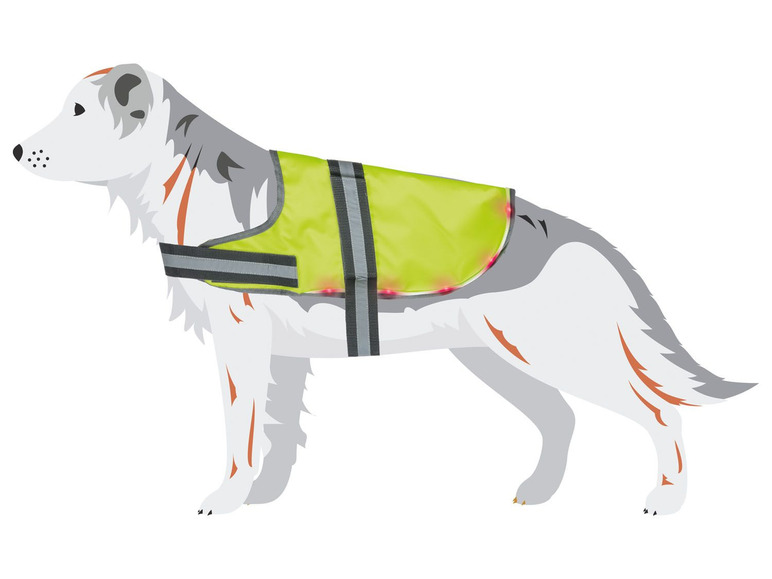  Zobrazit na celou obrazovku zoofari® Svíticí LED vesta pro psa - Obrázek 10