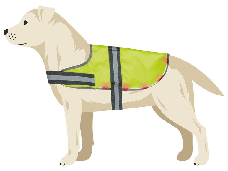  Zobrazit na celou obrazovku zoofari® Svíticí LED vesta pro psa - Obrázek 7