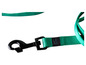 Zelený vodítko pro psy s černým karabinovým háčkem značky Karlie.
