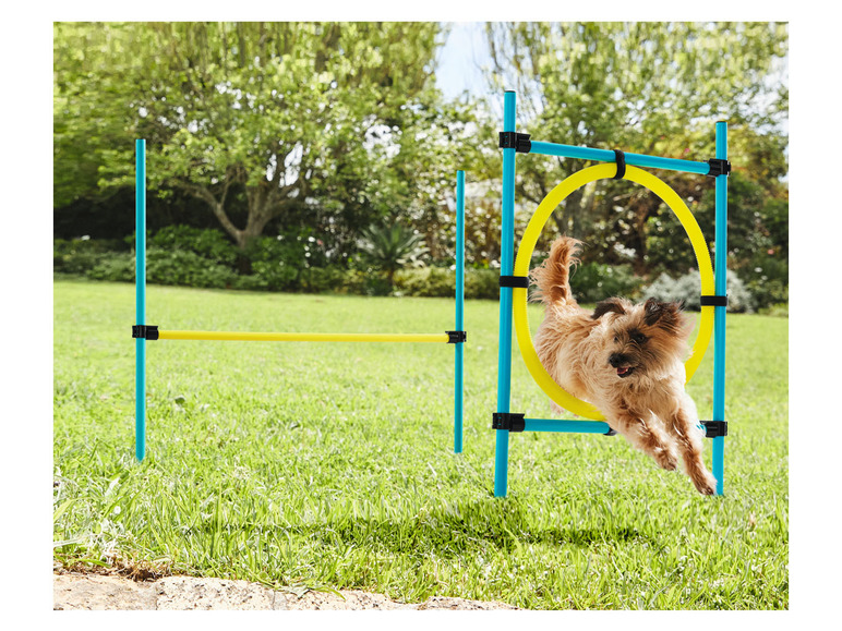  Zobrazit na celou obrazovku Zoofari Pomůcky na psí výcvik - Obrázek 4