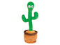mluvící kaktus