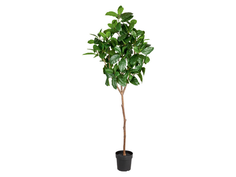  Zobrazit na celou obrazovku LIVARNO home Dekorační umělá rostlina magnólie, 190 cm - Obrázek 1