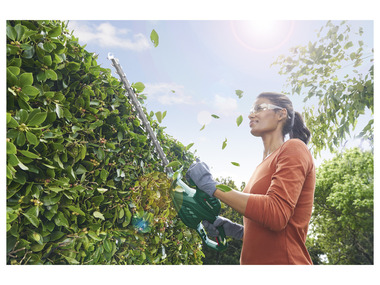 PARKSIDE® Elektrické nůžky na živý plot PHS 650 A1