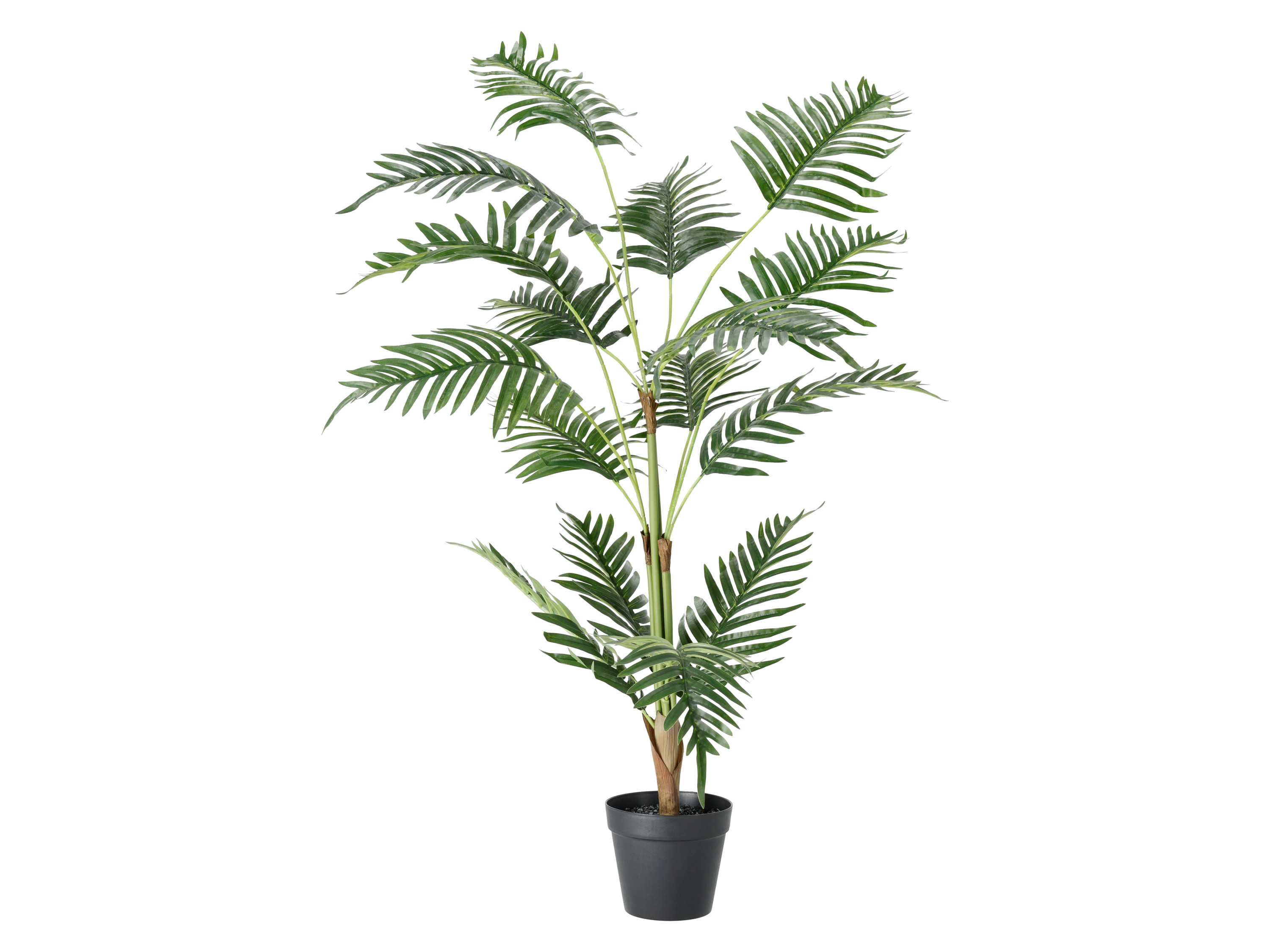 Livarno® Umělá rostlina, 125 cm (palma)