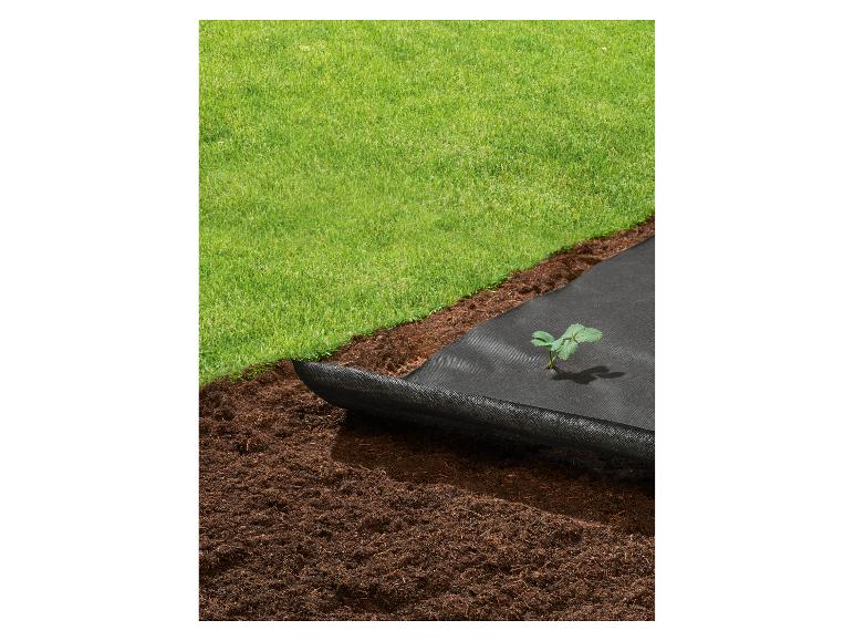 Černá netkaná textilie proti plevelu s mladou rostlinkou a trávníkem