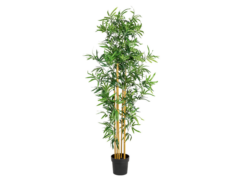  Zobrazit na celou obrazovku LIVARNO home Dekorační umělá rostlina bambus, 175 cm - Obrázek 1