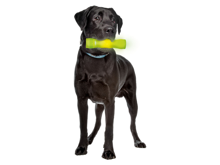  Zobrazit na celou obrazovku zoofari® Svítící LED hračka pro psy - Obrázek 19