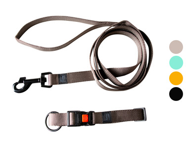 Obojek a vodítko pro psy, 200 cm