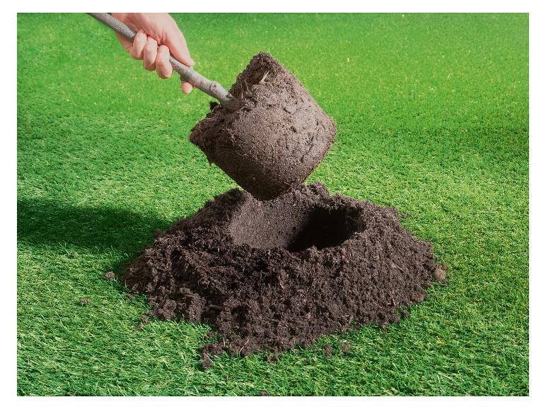 Ruka sází malý strom s kořenovým balem do díry v zemi.