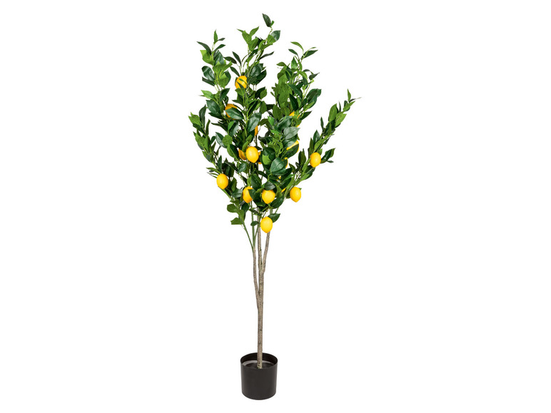  Zobrazit na celou obrazovku LIVARNO home Dekorační umělá rostlina citroník, 160 cm - Obrázek 1