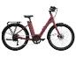 Červenohnědý elektrický bicykl s pneumatikami Schwalbe.