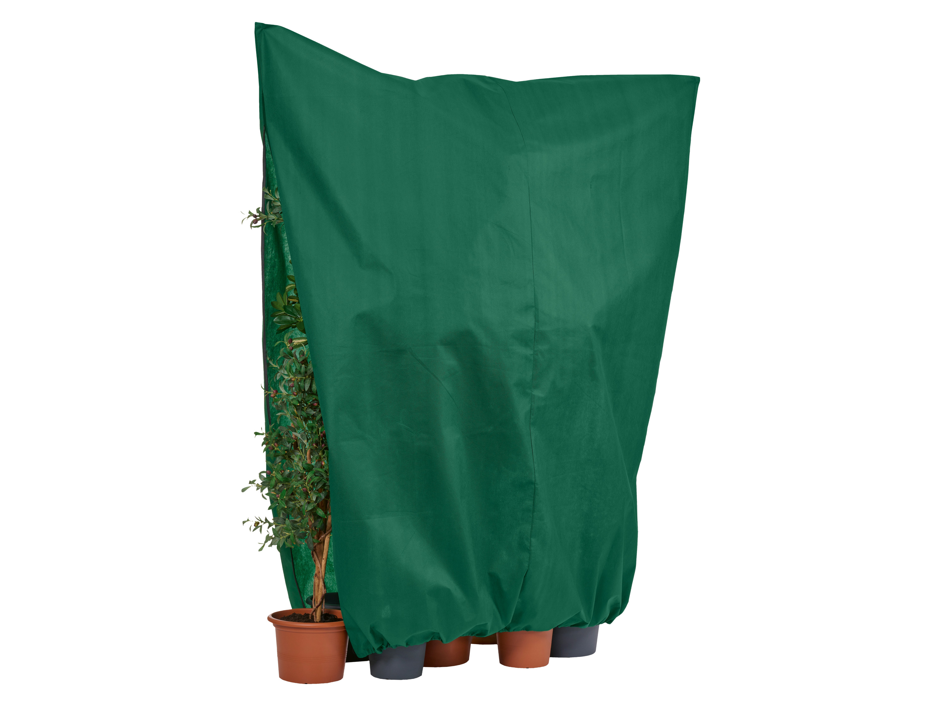 Parkside® Netkaná textilie proti mrazu XXL (Xxl zelená)