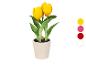 Umělé žluté tulipány v květináči s barevnými možnostmi