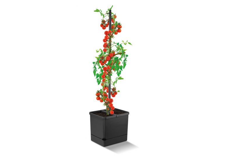 PARKSIDE® Rostlinná věž se zásobníkem na vodu