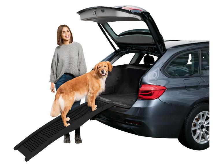 Rampa pro zvířata, auto a Golden Retriever.