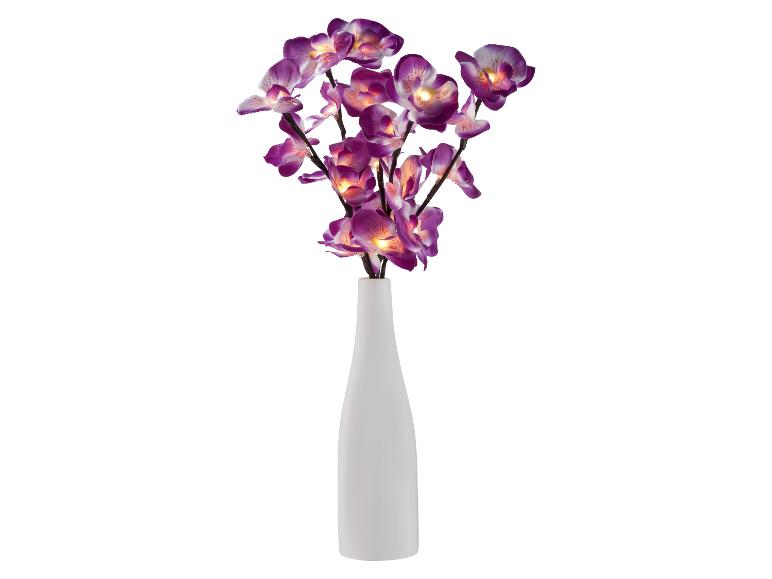 Osvětlené fialové orchideje v bílé váze