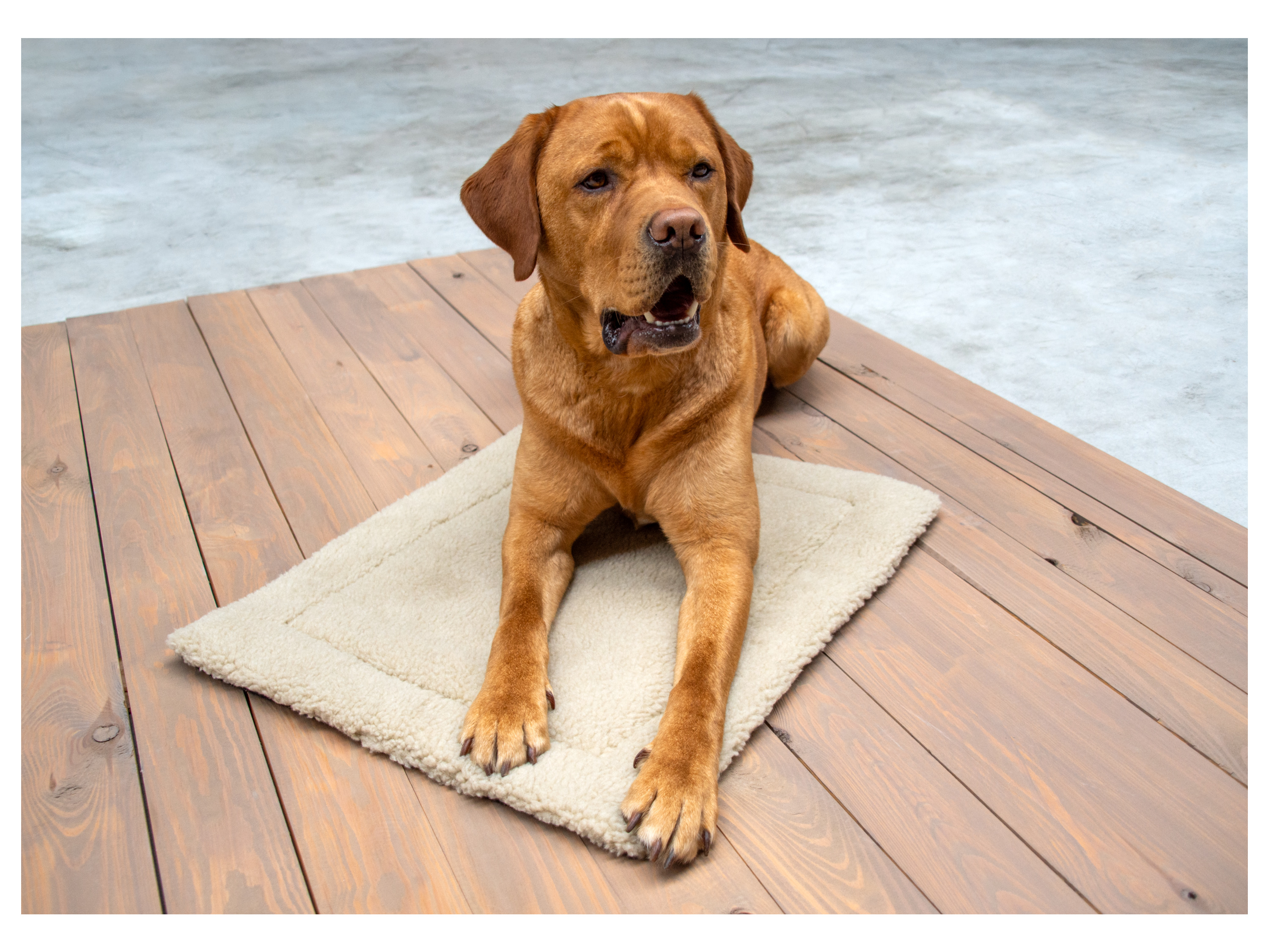 Karlie Vyhřívací podložka pro domácí mazlíčky (béžová)