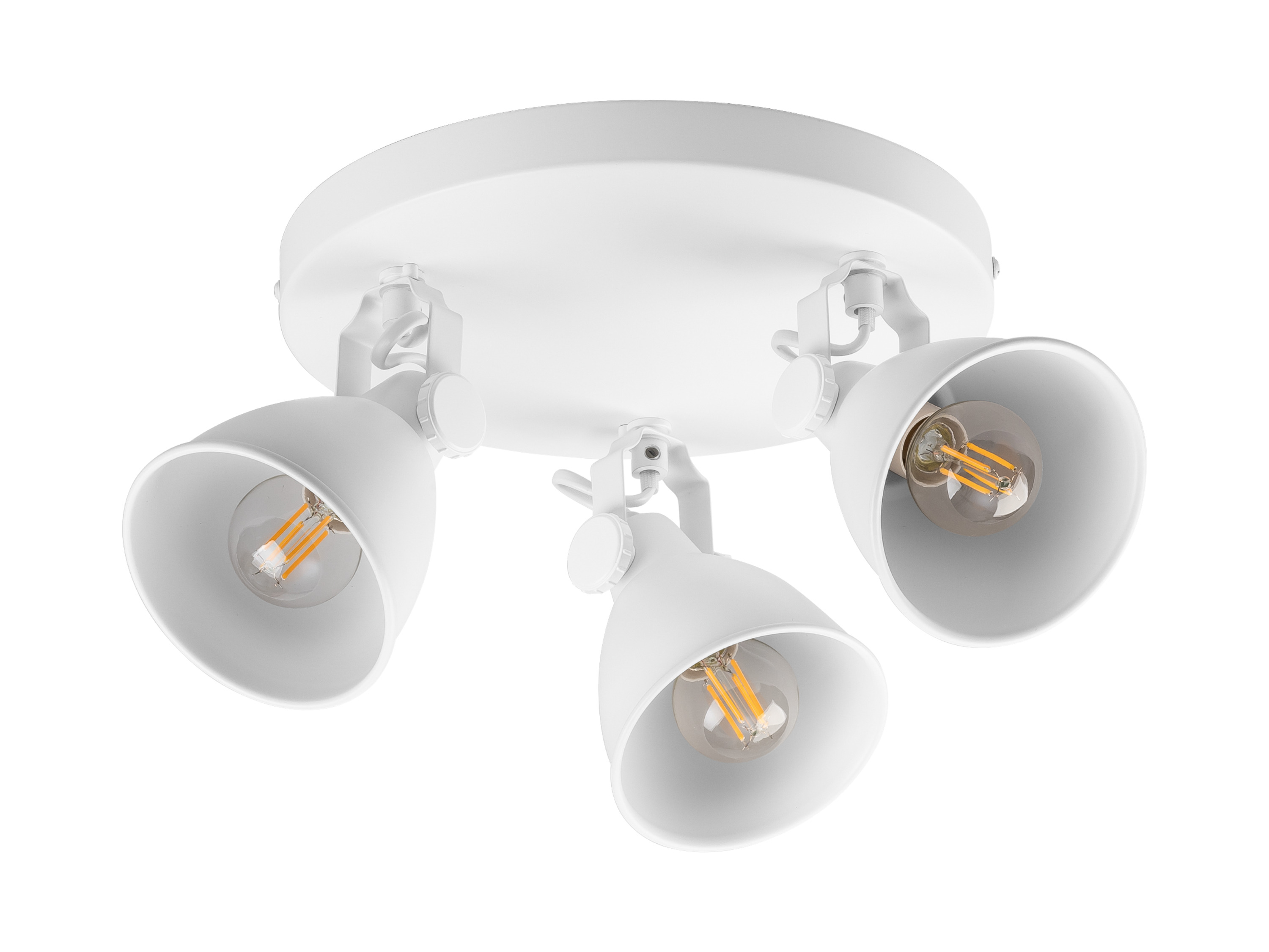 Livarno® Stropní LED svítidlo (stropní svítidlo bodové/bílá)
