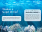 Seaqual Initiative spojuje organizace, které sbírají plastový odpad z oceánů a používají ho na výrobu potahů na matrace.