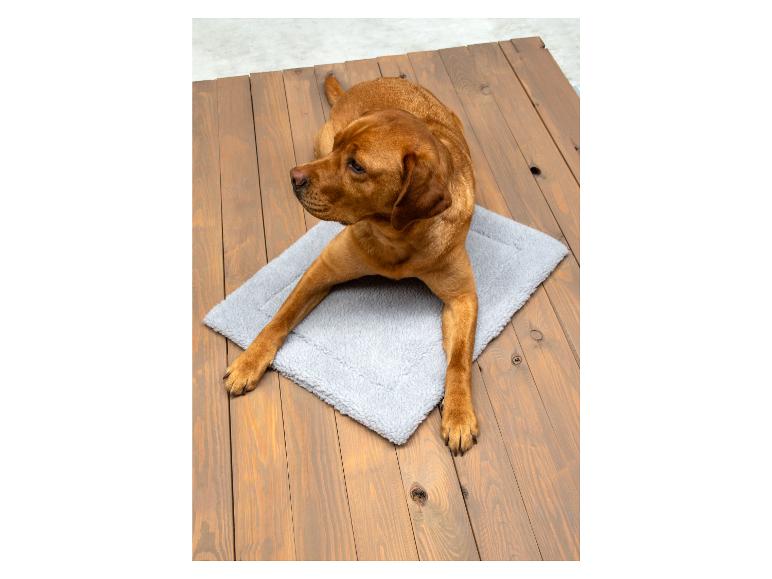 Hnědý pes ležící na šedém psím pelíšku.