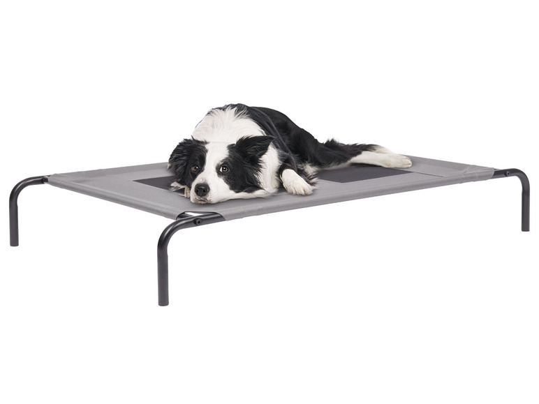  Zobrazit na celou obrazovku zoofari® Postel pro domácí mazlíčky, 130 x 18 x 80 cm - Obrázek 2