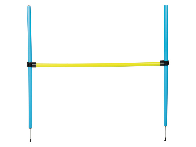 Modrý a žlutý agility překážka pro psy.