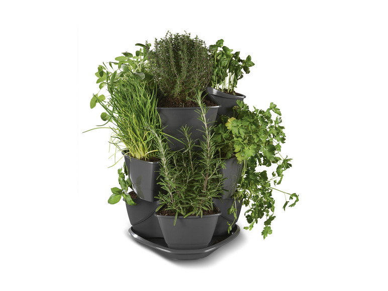  Zobrazit na celou obrazovku PARKSIDE® Bylinková věž - Obrázek 4