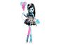 Panenka Monster High Frankie Stein s doplňky