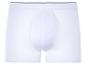 Klasické bílé boxerky.