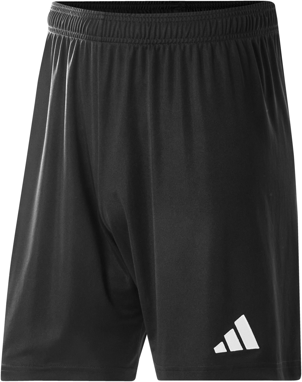 Adidas Pánské kraťasy Entrada 26 (L)
