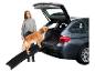 Rampa pro zvířata, auto a Golden Retriever.