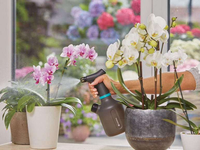 Osoba zalévá orchideje pomocí rozprašovače Gardena.