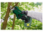 Zelené zahradní nůžky Parkside se používají na stříhání větve stromu.