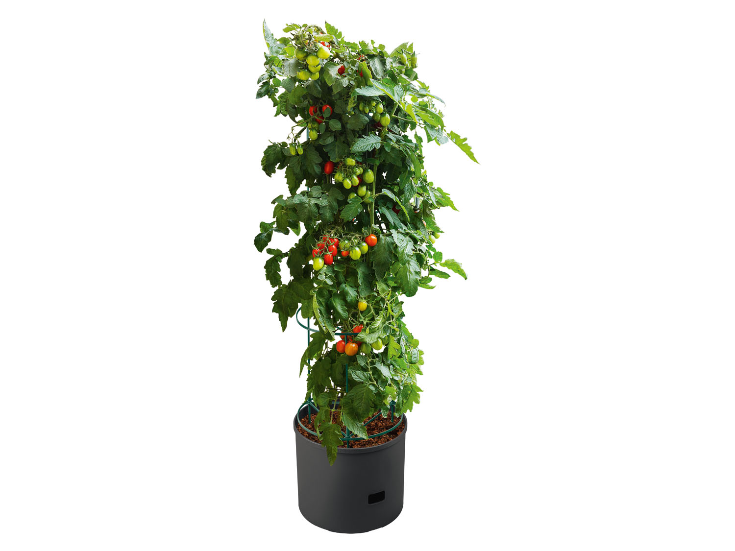 PARKSIDE® Květináč na rajčata, 20 l, 118 cm