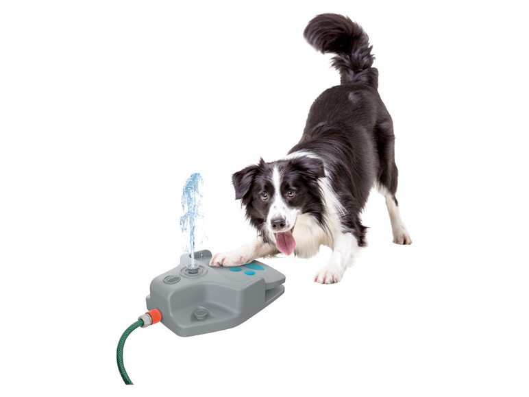  Zobrazit na celou obrazovku zoofari® Vodní fontána pro psy - Obrázek 1