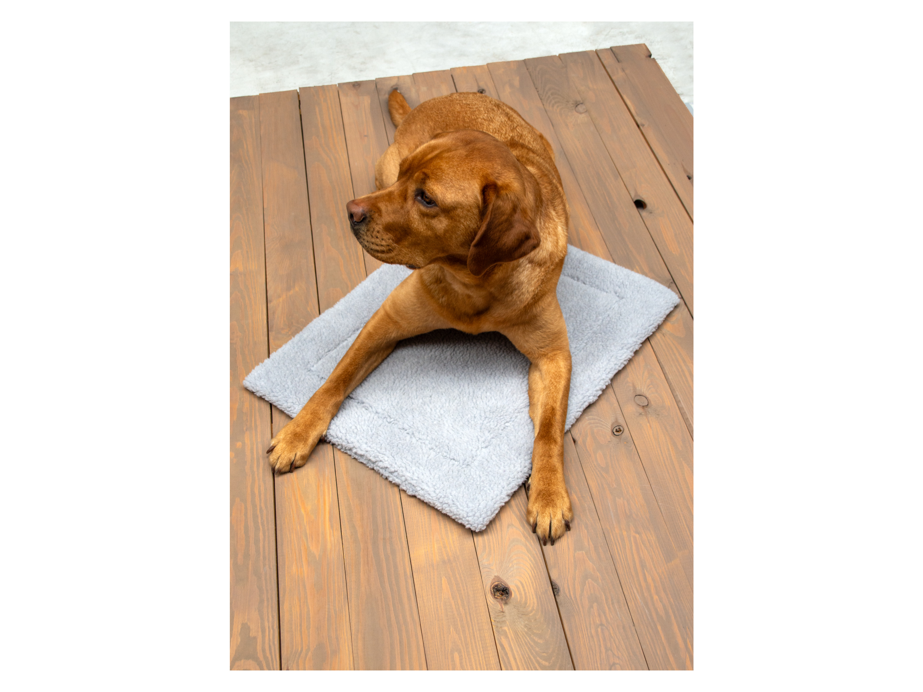 Karlie Vyhřívací podložka pro domácí mazlíčky (světle šedá)