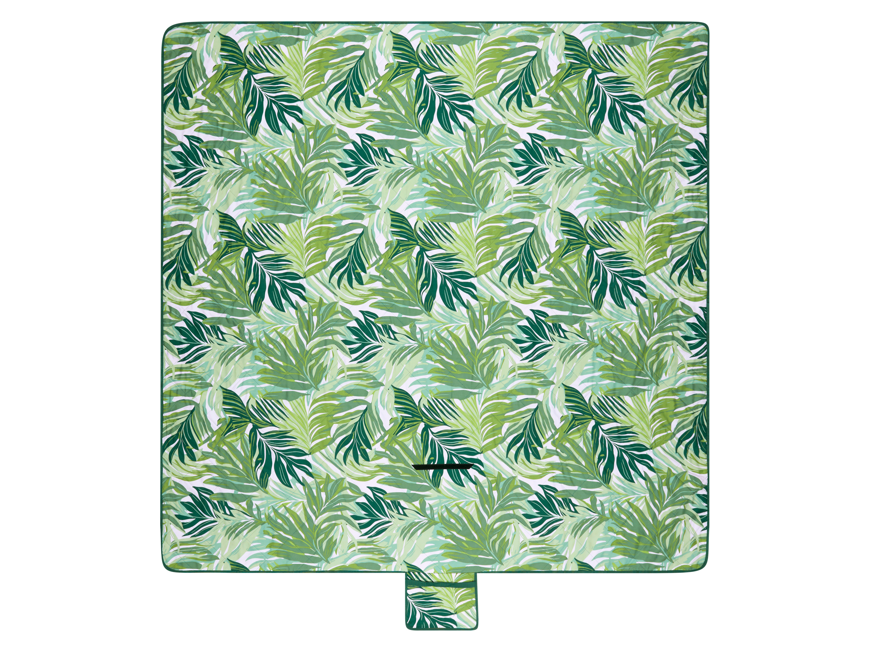 Livarno® Pikniková deka, 200 x 200 cm (zelená)