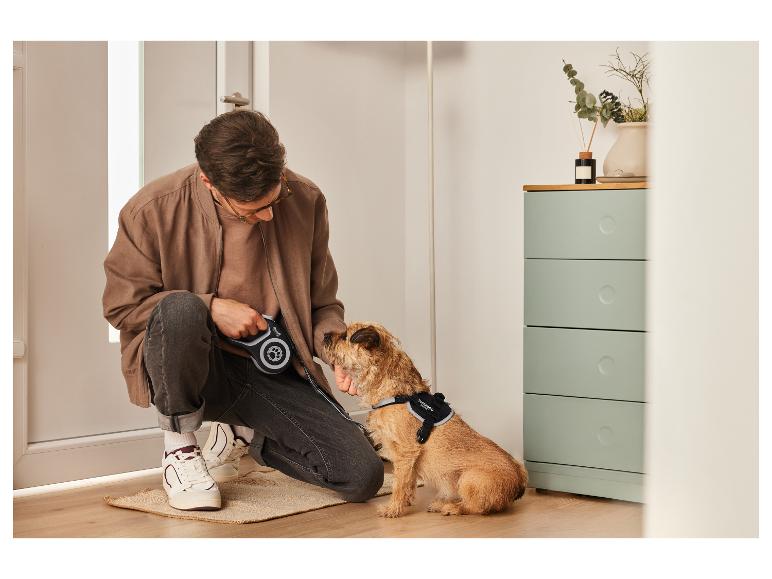 Muž dává svému psovi vodítko Superdog.