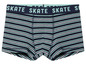 Modro-bílo-zelené pruhované boxerky s nápisem „Skate“ na pružném pásu.