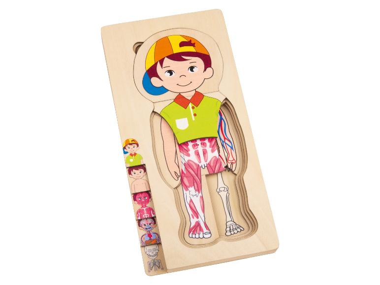 Dřevěná skládačka: lidská anatomie, svaly, kostra.