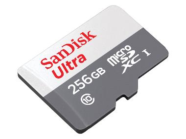 SanDisk Paměťová karta microSDXC Ultra Lite, 256 GB