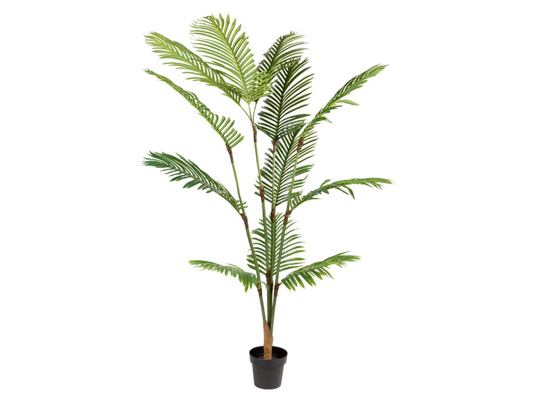  Zobrazit na celou obrazovku LIVARNO home Dekorační umělá rostlina palma, 190 cm - Obrázek 1